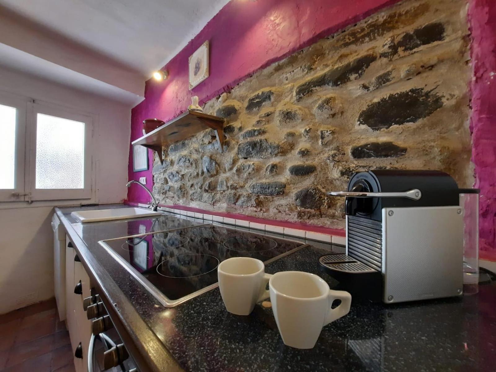 Casa Rural Cal Rocco Porta Del Pirineu Pobla de Segur Exteriér fotografie